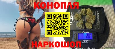 прущие грибы Кандалакша