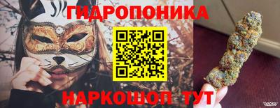 ALPHA PVP Камышлов