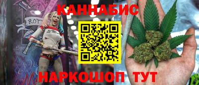 прущие грибы Кандалакша