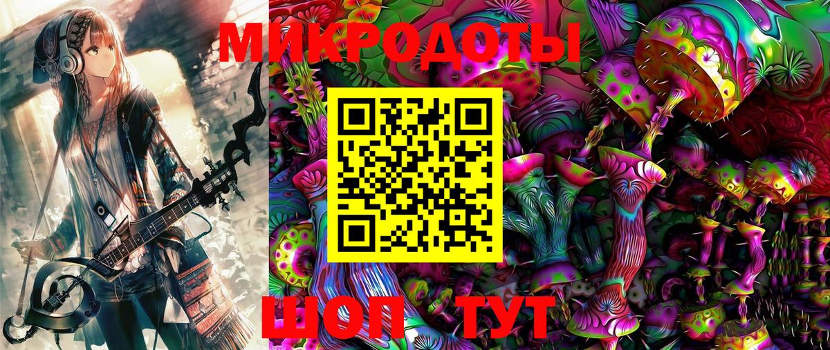 Галлюциногенные грибы Psilocybe Ялуторовск